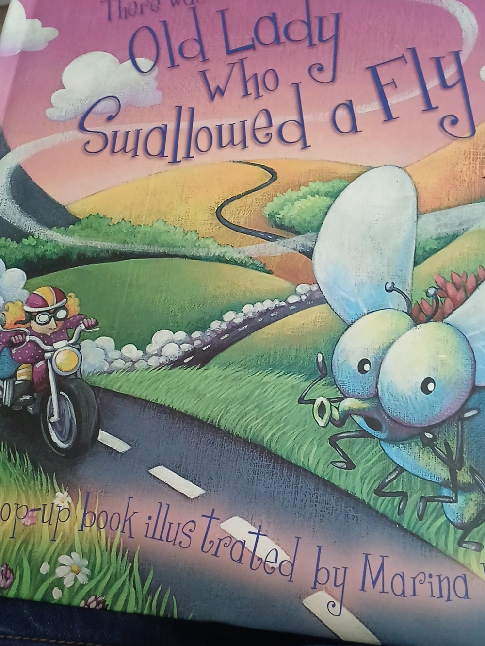 Children's Picture Book - The Old Lady Who Swallowed a Fly Pop-Up.